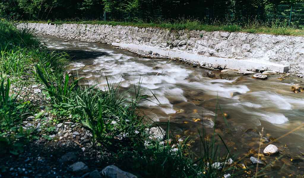 Génie végétal et confortement de berges 74